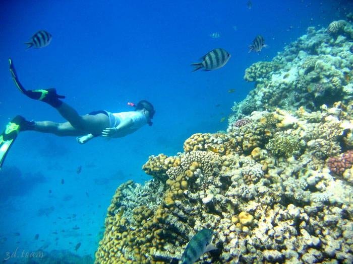 CoralBeachSnorkTour