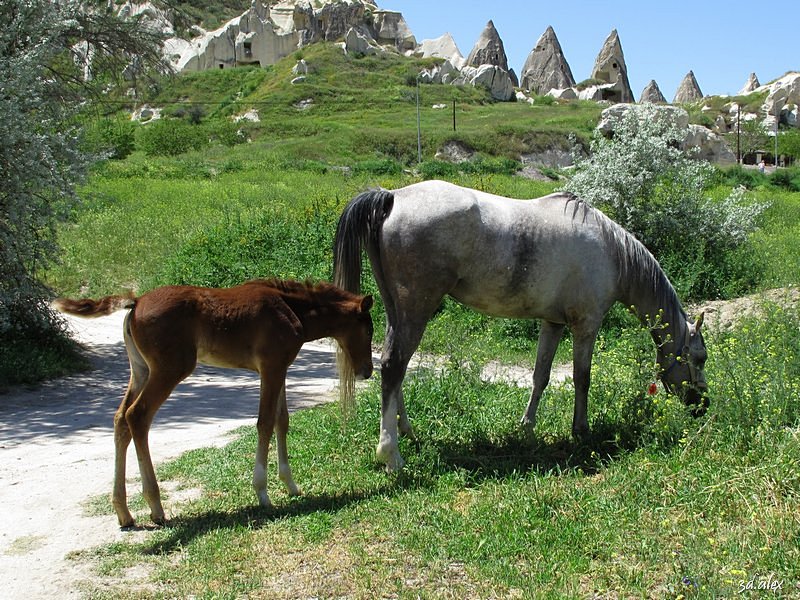 Goreme