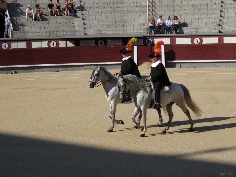 Madrid Las Ventas Corrida de toros