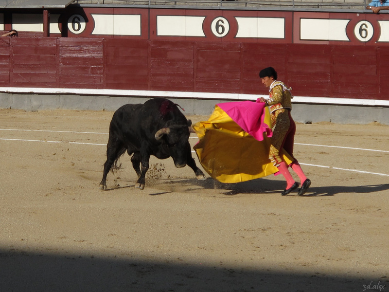 Madrid Las Ventas Corrida de toros