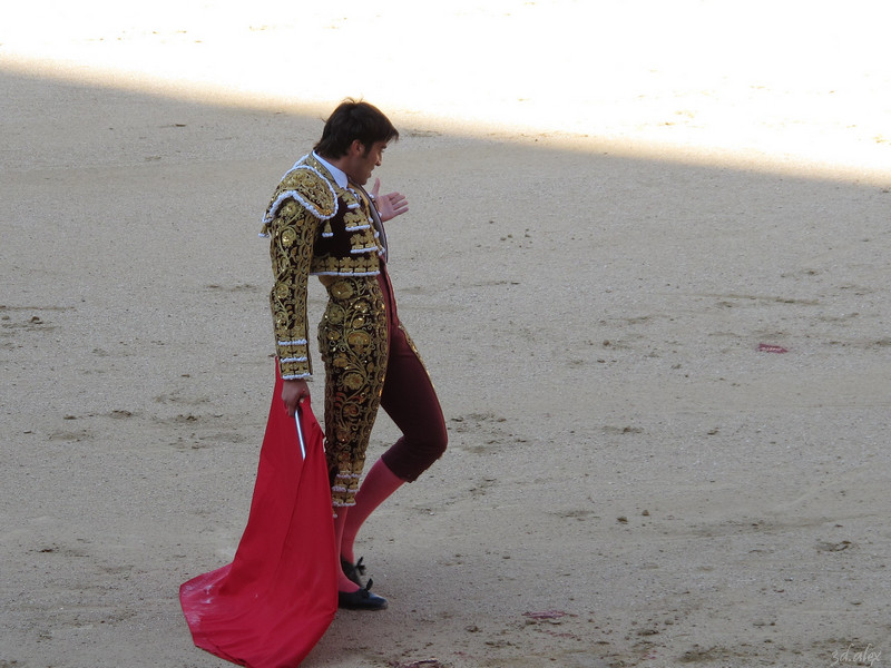 Madrid Las Ventas Corrida de toros