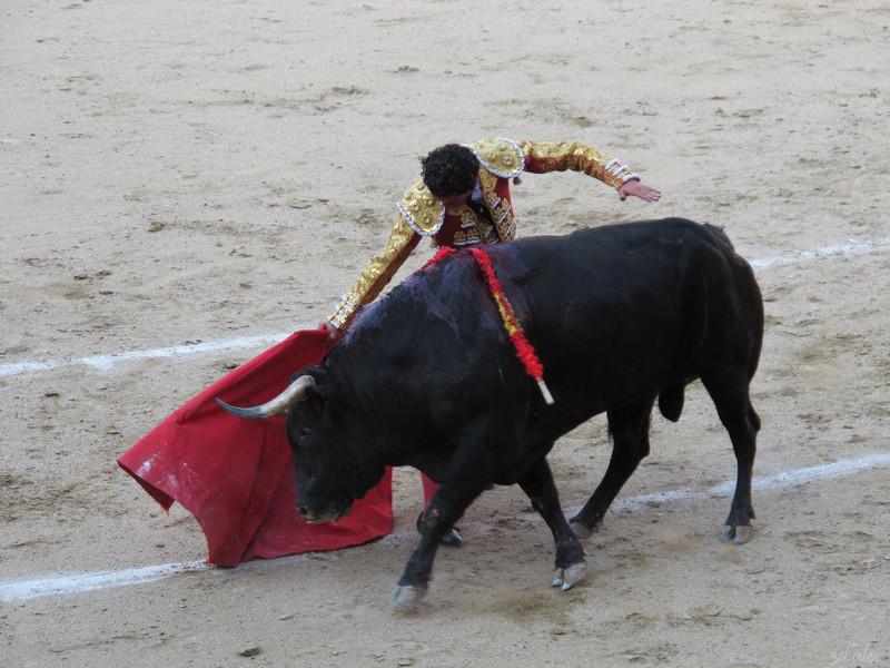 Madrid Las Ventas Corrida de toros