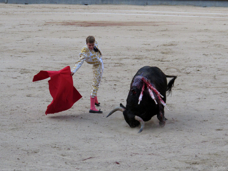 Madrid Las Ventas Corrida de toros