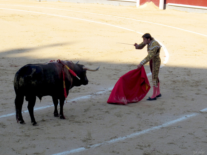 Madrid Las Ventas Corrida de toros