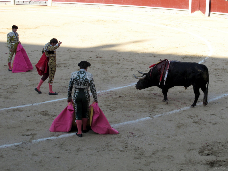 Madrid Las Ventas Corrida de toros