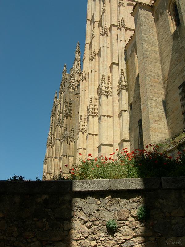 Segovia Catedral