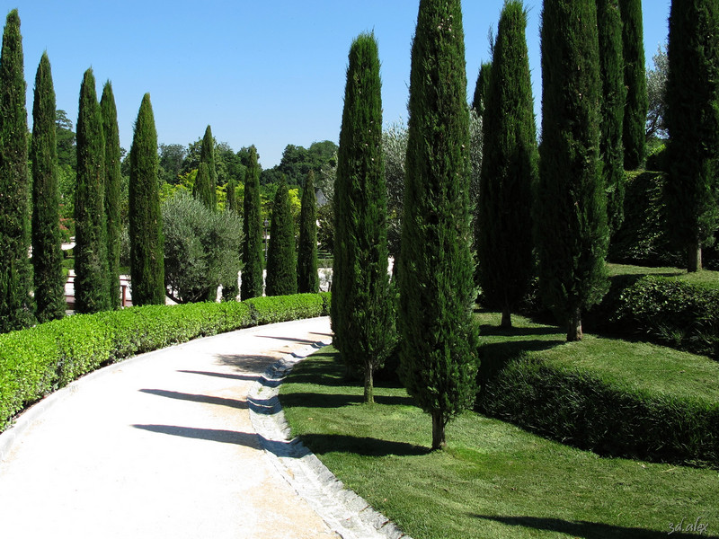 Madrid Retiro