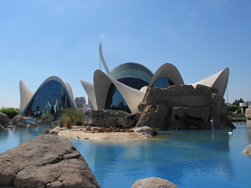 Valencia Ciudad de las Artes y las Сiencias Oceanografic