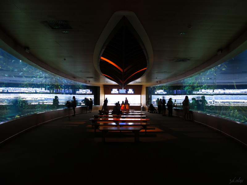 Valencia Ciudad de las Artes y las Сiencias Oceanografic