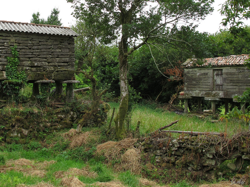 Galicia