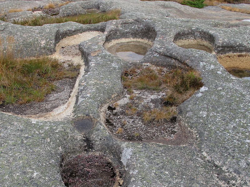 Galicia Ezaro