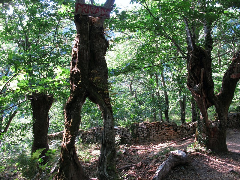 InnerGalicia SantaCristina