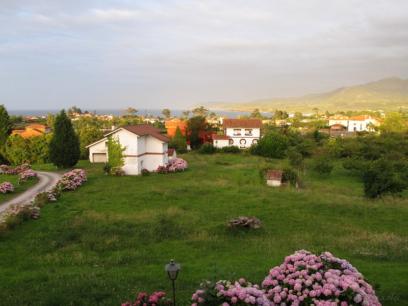 Asturias LosCaspios