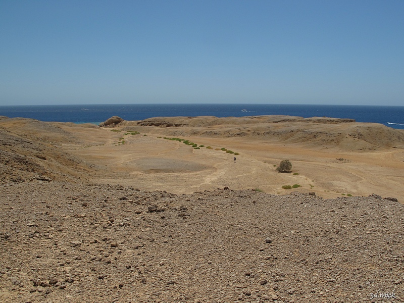 wildbeach walk