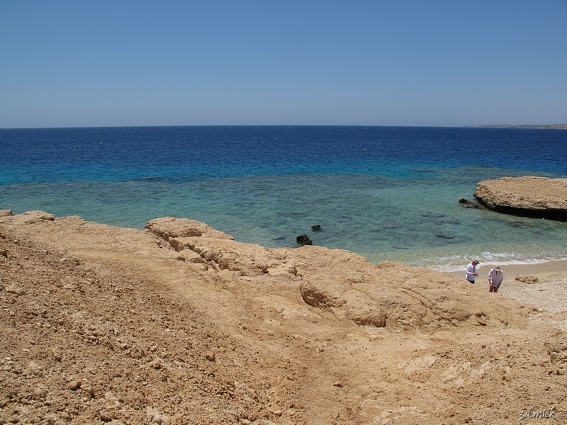 wildbeach