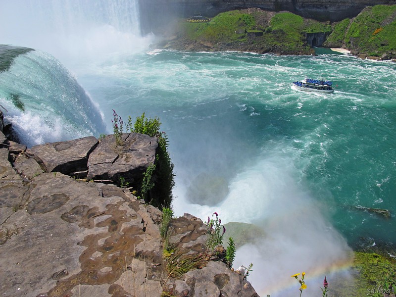 Niagara