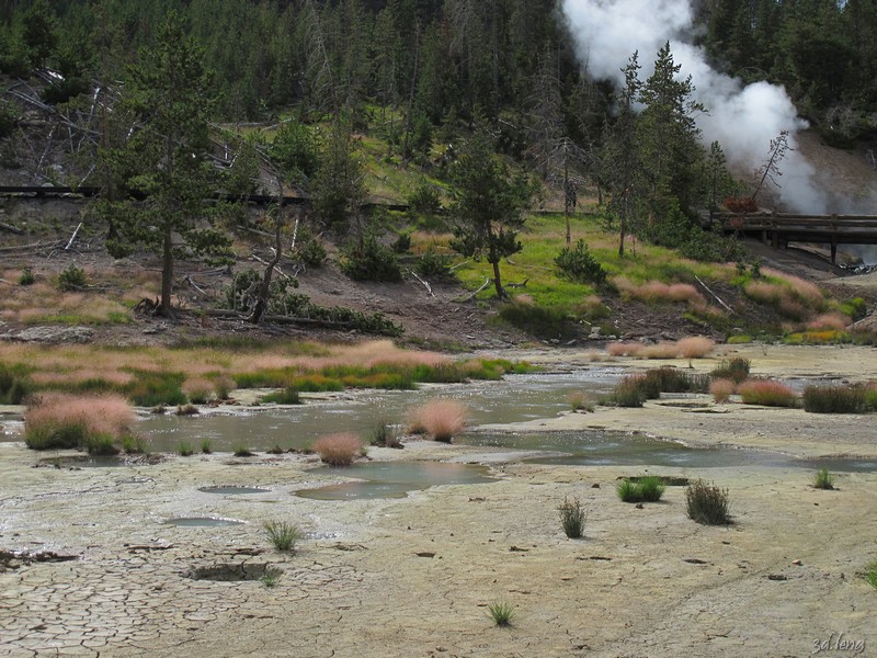 Yellowstone