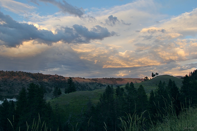 Yellowstone