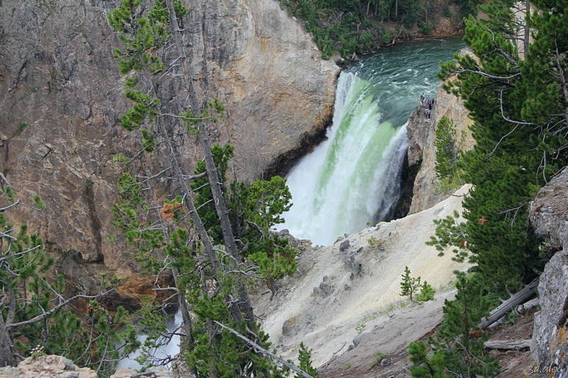 Yellowstone