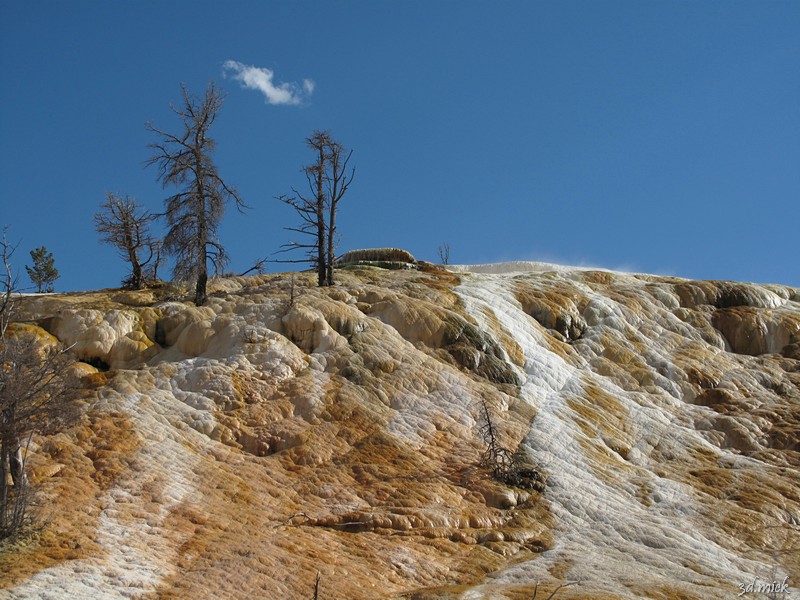 Yellowstone