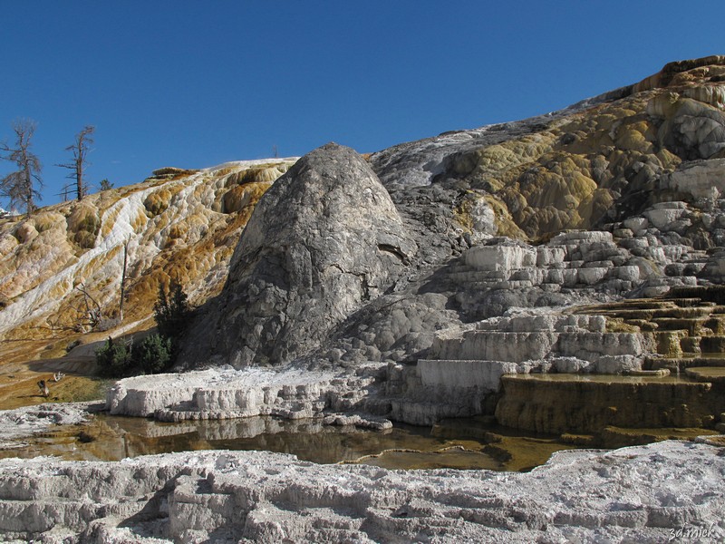 Yellowstone