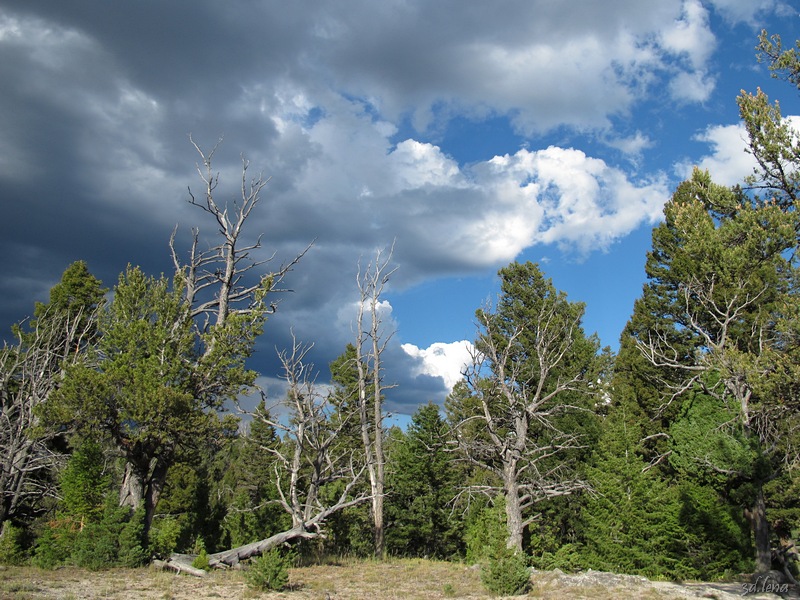 Yellowstone