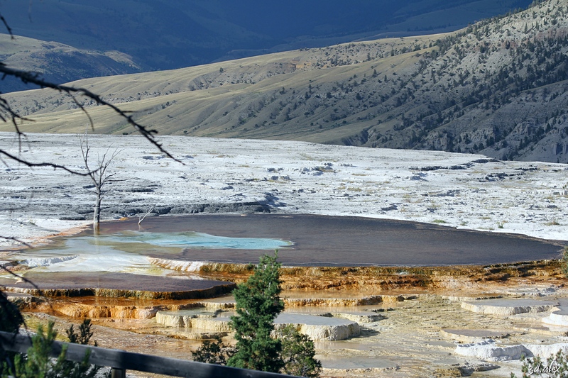 Yellowstone