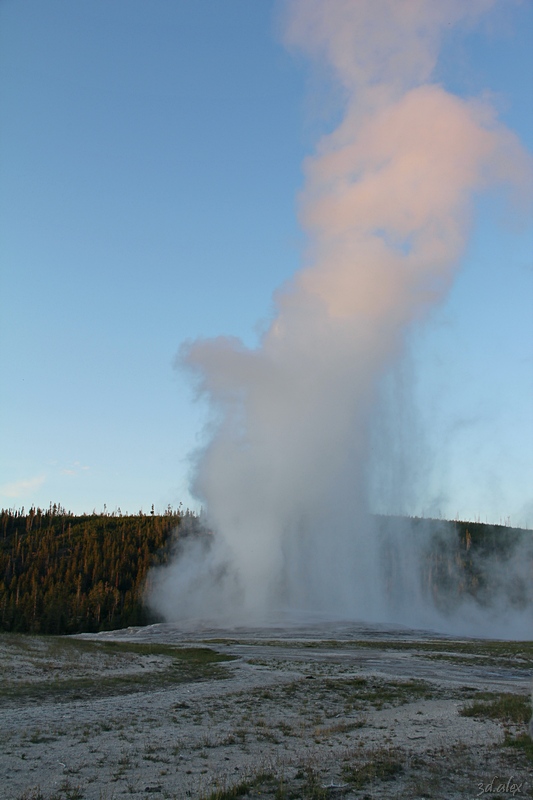 Yellowstone